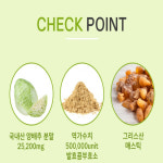 매스틱 양배추 효소 캐비지 역가수치 높은 효소 3통 180정 : ALL DAY YOUNG