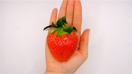 농장직영 생딸기 설향 신데렐라 산지직송 딸기 선물 임산부 : 참사랑 농원