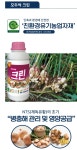 모두싹크린 종자소독 나라바이오 250g 유황분말 마늘 씨감자 생강 종자 소독약 분의처리제 : 농사의신 씨앗백화점