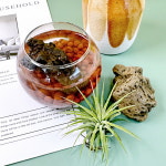 [킷앤킷] 이오난사 화분 만들기 식물 키우기 공기정화 카페 인테리어 소품 선물 : 킷앤킷