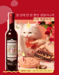 고양이 전용 선물 가다랑어맛 와인 닭고기 생선맛 생일 케이크 세트 : 강화사료