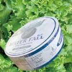 남경]N드립 점적테이프  0.2mmx10cmx1000m  H1324 : 오늘은 최고의 날