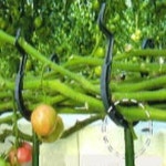 줄기걸이 200개  H1812 : 오늘은 최고의 날