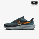 나이키 공식스토어 남성 페가수스 39 쉴드 DO7625-300 113127 : okdkmall