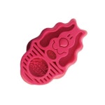 강아지 줌 그룸 라스베리 브러쉬 털빗 반려동물 숱정리 : 취향중개소