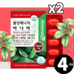 바나바 잎 추출물 리프 바나나 총 4개월분 : 리빙팩토리H