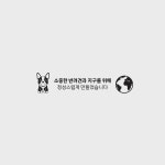 강아지대변패드 국제 멍멍패드 430X530mm 50매 : 건우프렌즈