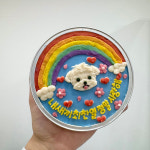 강아지 생일 케이크 반려동물 수제 강아지컵케이크 9cm 고구마시트 : 핏어펫 pit a pet