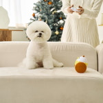 애니펫 TV광고 아이와 함께 RC 강아지 움직이는 노즈워크 장난감 오뚜기 애견 반려견 : 오누즈 스토어