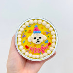 강아지 생일 케이크 반려동물 수제 강아지컵케이크 9cm 고구마시트 : 핏어펫 pit a pet