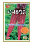 KS자흑당근 500립 당근 씨앗 종자 모종 텃밭 주말농장 KS종묘 그린종묘농약사 : 허수아비정원