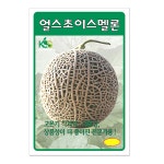 얼스초이스멜론 100립 메론 씨앗 종자 모종 텃밭 주말농장 KS종묘 그린종묘농약사 : 허수아비정원
