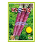 KS롱자흑당근 500립 당근 씨앗 종자 모종 텃밭 주말농장 KS종묘 그린종묘농약사 : 허수아비정원