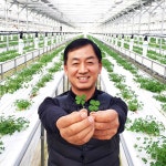 푸드클로버 식용 네잎클로버 샐러드 100잎 : 푸드클로버