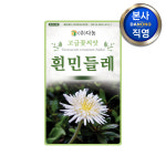 흰민들레 씨앗 100립 야채 채소 텃밭 파종 재배 주말 농장 씨 종자 : 다농원예가든