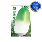 진주대평 무씨앗 15g 야채 채소 텃밭 파종 재배 주말 농장 씨 종자 : 다농원예가든