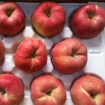 못난이사과 흠집사과 가정용 낙과 흠과 기스 주스용 2kg소 : 세모물상점