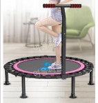 점핑트램폴린 점핑 성인 트램펄린 원형 방방이 실내 : 여울퍼플