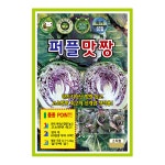 퍼플맛짱 100립 양배추 적양배추 씨앗 종자 모종 텃밭 주말농장 KS종묘 그린종묘농약사 : 허수아비정원