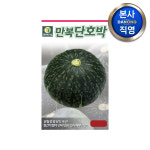 만복 단호박 씨앗 20립 야채 채소 텃밭 파종 재배 주말 농장 씨 종자 : 다농원예가든
