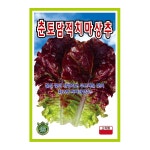춘토담적치마 3000립 적치마 상추 씨앗 종자 모종 KS종묘 그린종묘농약사 : 허수아비정원