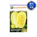 다농 새론국수 호박 씨앗 30립 채소 텃밭 재배 주말 농장 파종 씨 종자 : 다농원예가든