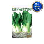 고려몸짱 청경채 씨앗 1500립 채소 텃밭 재배 주말 농장 파종 씨 종자 : 다농원예가든