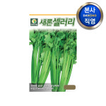 새론 셀러리 씨앗 3000립 야채 채소 텃밭 파종 재배 주말 농장 씨 종자 : 다농원예가든