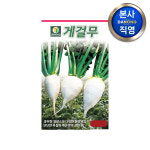 게걸무 씨앗 500립 단단한 토종무 무우 채소 주말 농장 텃밭 재배 종자 : 다농원예가든