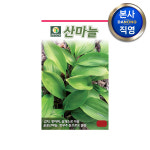 산마늘 씨앗 50립 명이나물 야채 채소 씨 종자 텃밭 주말 농장 : 다농원예가든