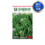 두메 부추 씨앗 100립 야채 채소 텃밭 파종 재배 주말 농장 씨 종자 : 다농원예가든