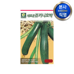 새로운쥬키니 호박 씨앗 600립 채소 텃밭 재배 주말 농장 파종 씨 종자 : 다농원예가든
