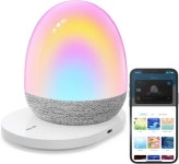 Govee RGBIC 고비 블루투스 LED 스피커 야간 조명 수면등 무드등 : 어스브라이트