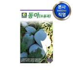 소동과 (동아) 씨앗 30립 야채 채소 텃밭 파종 재배 주말 농장 씨 종자 : 다농원예가든