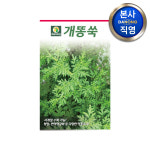 개똥쑥 씨앗 1만립 야채 채소 텃밭 파종 재배 주말 농장 씨 종자 : 다농원예가든