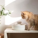 이너프파이브 ENOUGH 5 포세린 펫 정수기 필터 8p 스폰지 5p : Hey Petz