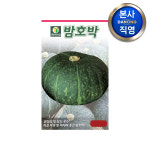 밤(단) 호박 씨앗 30립 야채 채소 텃밭 파종 재배 주말 농장 씨 종자 : 다농원예가든