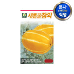 새론 꿀참외 씨앗 50립 야채 채소 텃밭 파종 재배 주말 농장 씨 종자 : 다농원예가든