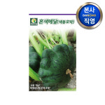 혼색메달 호박 씨앗 10립 야채 채소 텃밭 파종 재배 주말 농장 씨 종자 : 다농원예가든