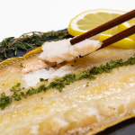 군산 반건조 서대 박대 말린 생선 구이 왕 특대 26-38cm : 맛집대령