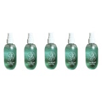 사라나라 퍼퓸헤이즈 헤어 바디 미스트 앰버플로럴 5개 100ml : 브라우저룸