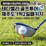 제주도 초특가 골프 1박2일 패키지 / 테디벨리 / 36홀 / 노캐디 / 렌트카 : 제이제이골프