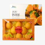 제주연가 한라봉 선물용 2kg,3kg,5kg : 제주연가