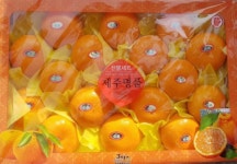 정화네농원 제주 천혜향 당도보장 선물용 가정용 벌크 : 정화네농원