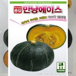 단호박씨앗 만냥에이스단호박씨앗 20립 1봉, 다수확 : 태웅씨앗자재마트