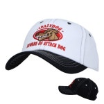 크레이지도그 야구볼캡 모자자수 인싸모자 : 심바네다잇오