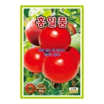 KS 홍일품  1000립 토마토 씨앗 종자 모종 텃밭 주말농장 KS종묘 그린종묘농약사 : 허수아비정원