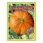 큰집 맷돌 호박 500립 호박 씨앗 종자 모종 텃밭 주말농장 KS종묘 그린종묘농약사 : 허수아비정원
