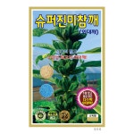 슈퍼진미참깨 20000립 2만립 대포장 참깨 씨앗 종자 모종 텃밭 주말농장 KS종묘 그린종묘농약사 : 허수아비정원