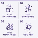 자보티카바퓨레 자보타카빈 자보티카퓨레 : 헬시파머